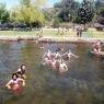 Idiomas - Summer Camp La Data
